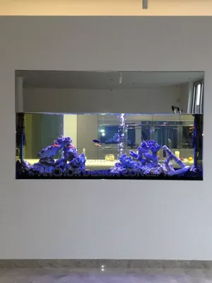Beautiful in-Wall Aquarium