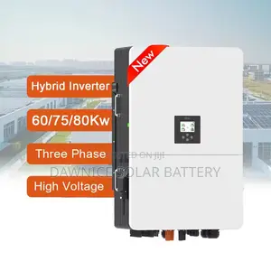 Deye Sun--Sg02hp3-Eu-Em6 80kw Solar Inverters