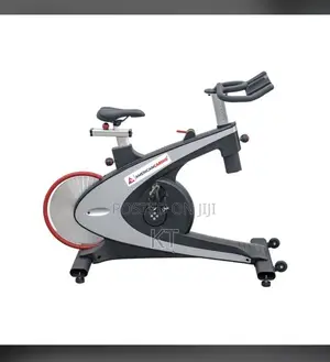 American Commercial Spinning Bike