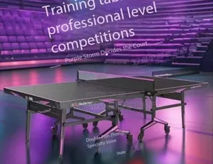 Double Fish Ittf Approved Table