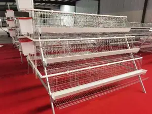 3 Tiers Battery Cages