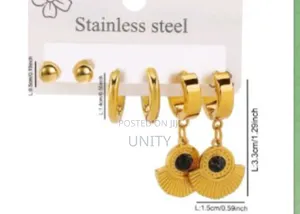 Stainless Steel Earrings Set