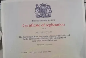 Get Your Pal Canada and Offer Letter Now