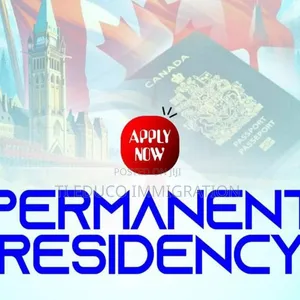 Travel With Us: Your Dream Destination Awaits