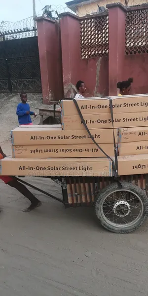 Cworth 100w All in One Solar Street Light