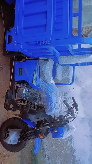 New Tricycle 2025 Blue