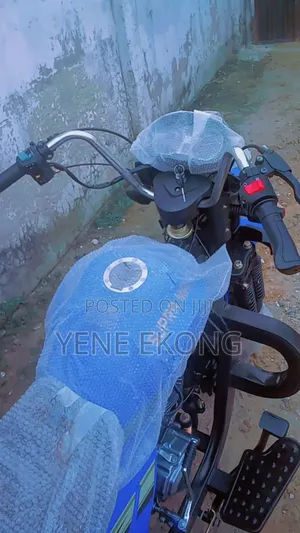 New Tricycle 2025 Blue