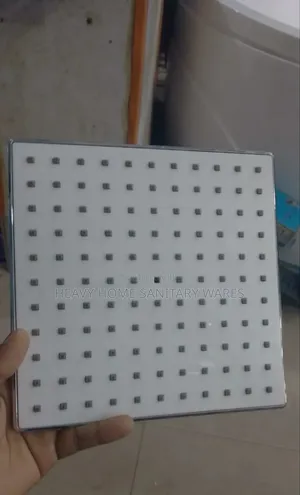 Original Shower Head