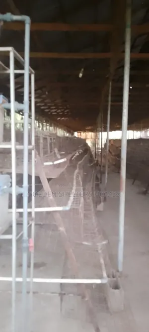 Poultry Farm for Lease