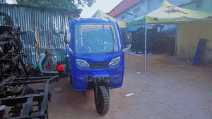 New Tricycle 2025 Blue