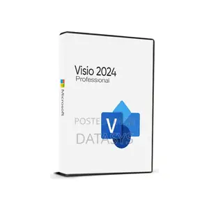 Microsoft Visio Professional 2024 - Bind Cd Key Global