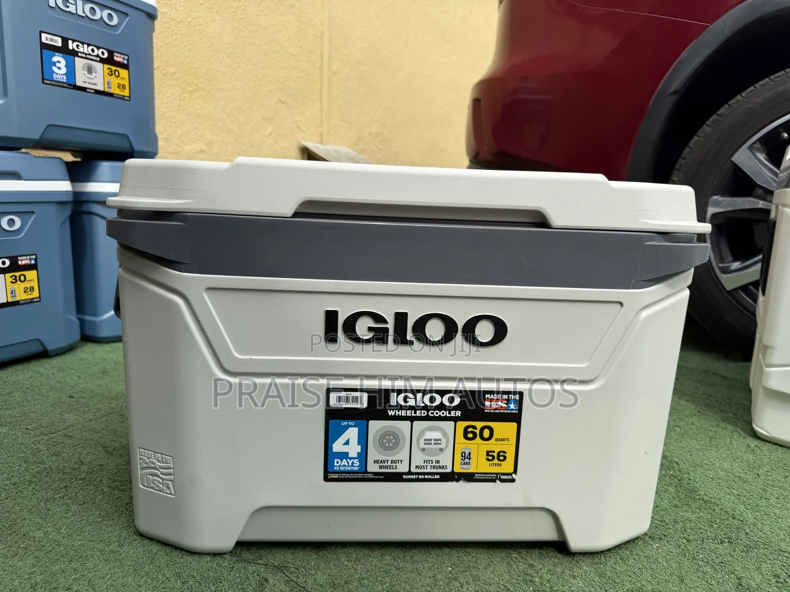 Igloo Multipurpose Coolers in Different Sizes