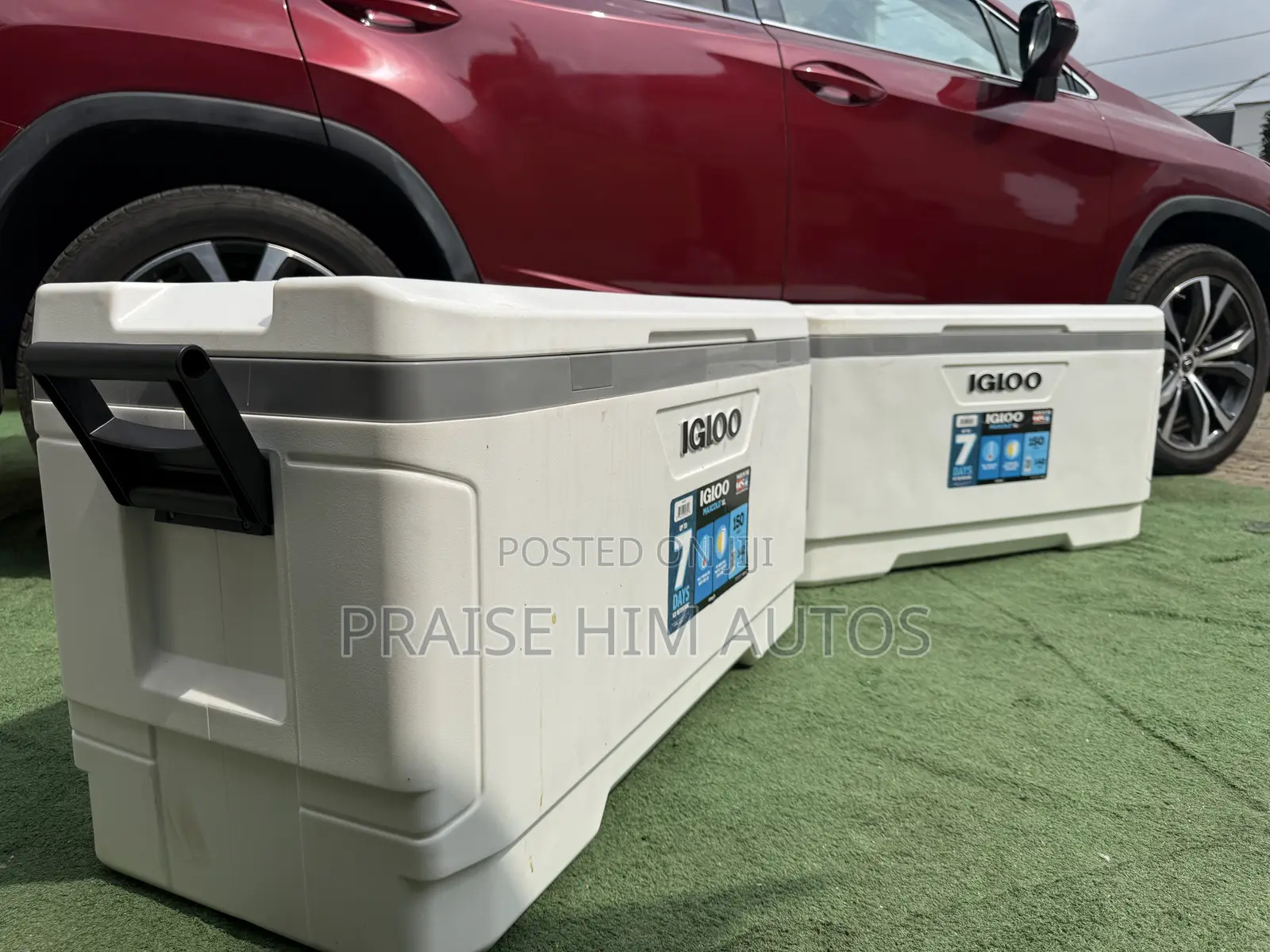 Igloo Multipurpose Coolers in Different Sizes