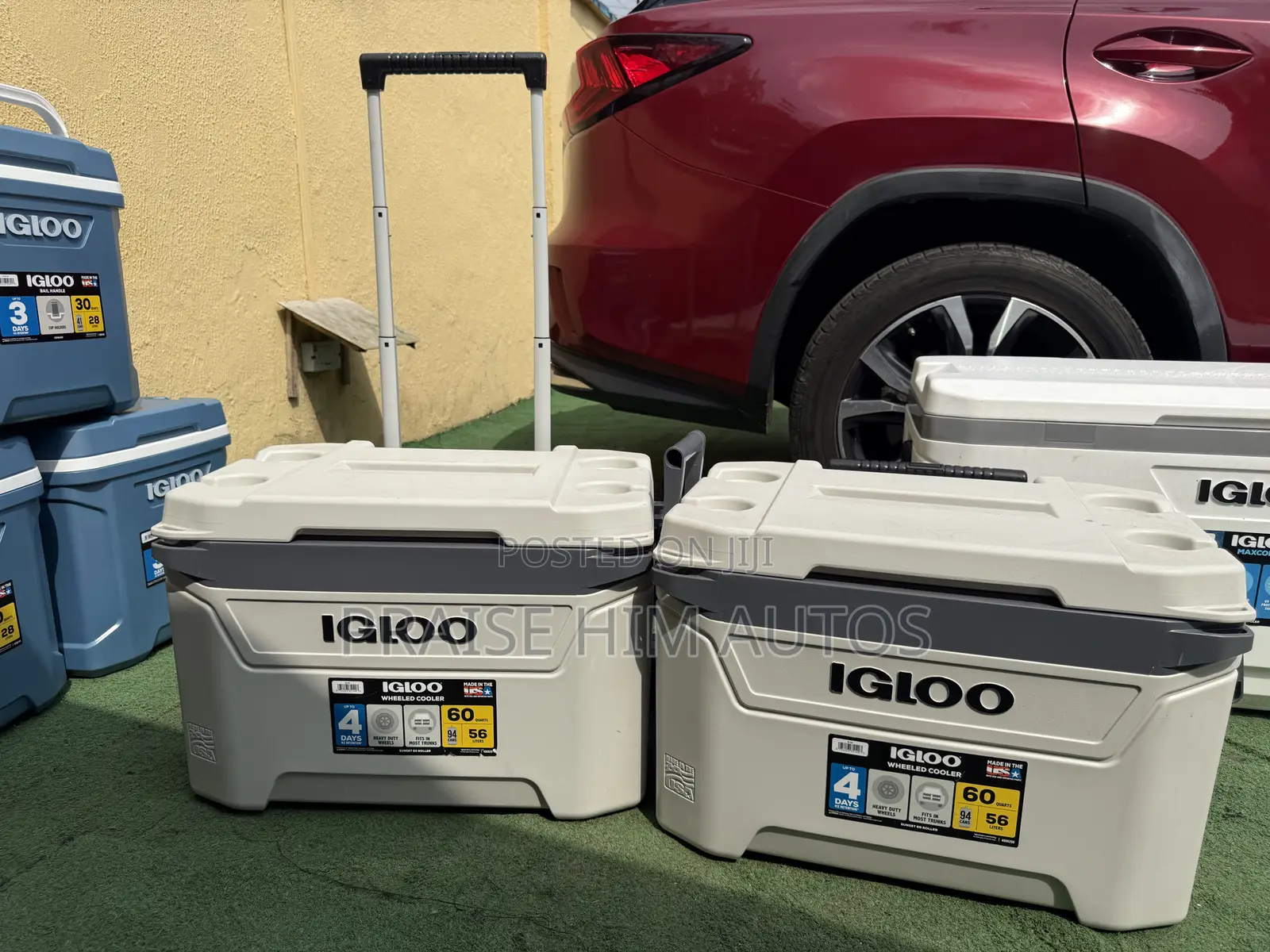 Igloo Multipurpose Coolers in Different Sizes