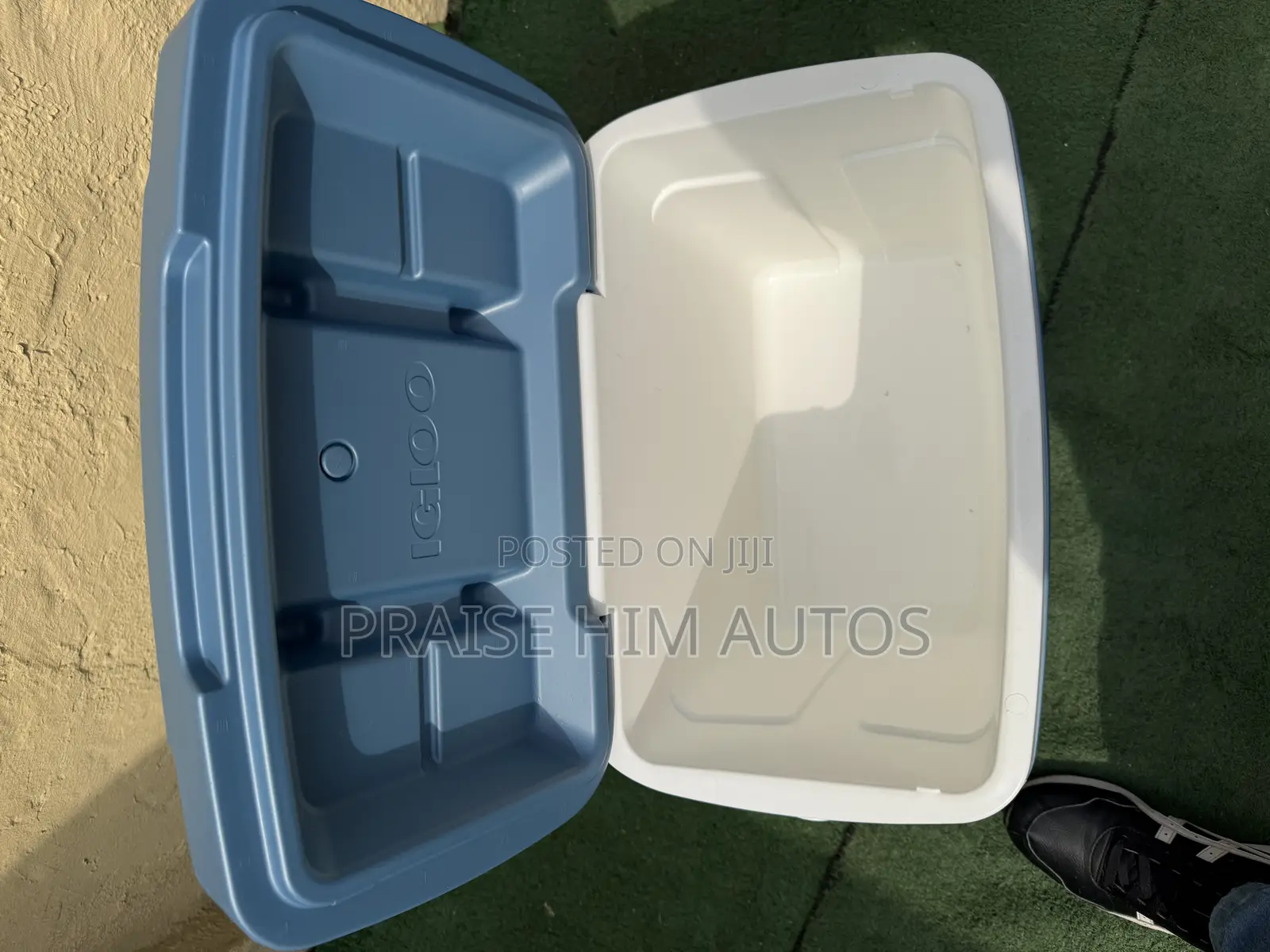 Igloo Multipurpose Coolers in Different Sizes