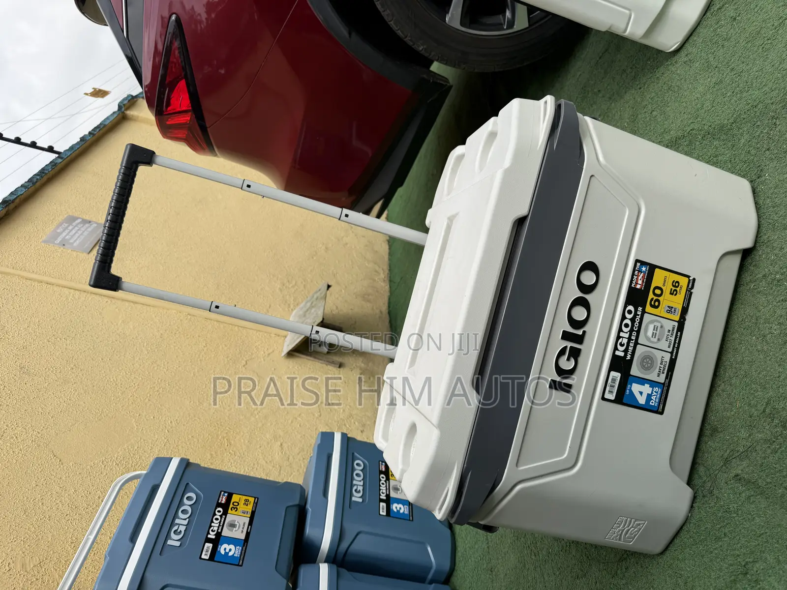 Igloo Multipurpose Coolers in Different Sizes