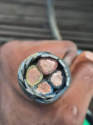 25mm Armoured Cable Full Gauge