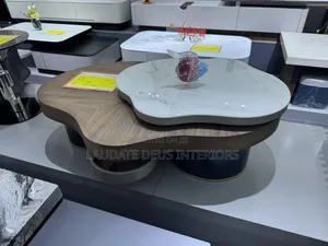 Contemporary 2 in 1 Wooden/Ceramic Centre Table