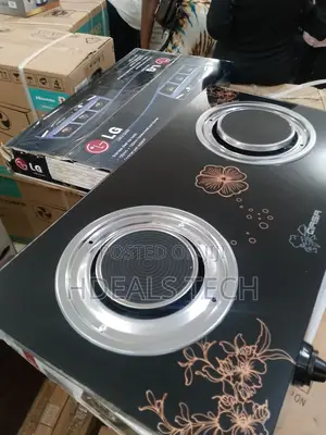 Qasa Clean-Burn 2-Plate Stove.