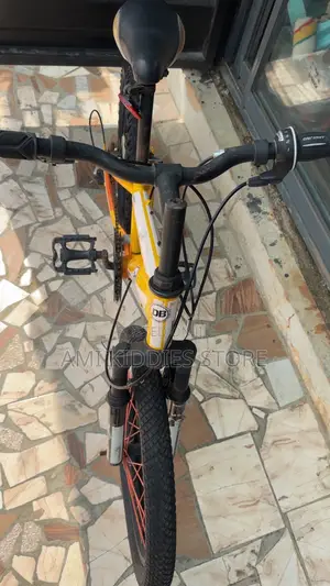 Cobra20 Fat Tyre Bicycle