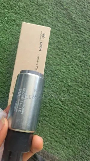 Inner Fuel Pump for Hyundai