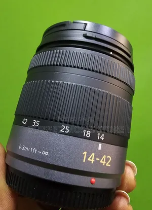 Panoramic Lumix Lens 14-42