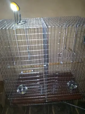 Parrot Cage