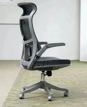 Executive Office Chair With Back Support