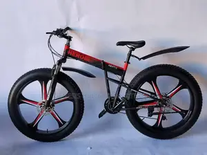 Fat Tyre Bicycle (Alloyed Rim) Hero290