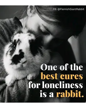 The Best Pets