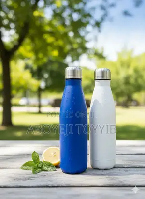 Stainless Steel Bottle