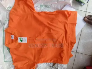 Collar Neck Plain T-Shirt