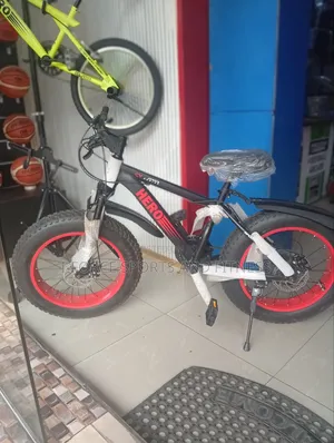 Size 20 Big Tyre Bike