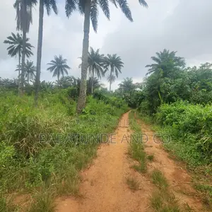 Acres of Farm Land at Olojo Vill. Mele, Off Moniya/Ijaye Road