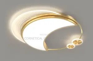 Modern Stylish Ceiling Pop Lightnings