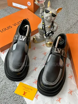 Louis Vuitton Designer Shoe
