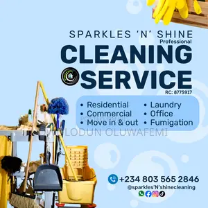 Cleaning and Laundry Service