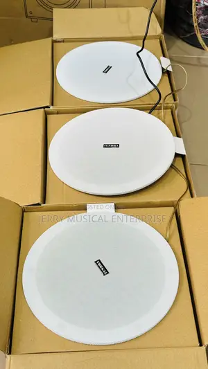 Original Ceiling Speakers With Bluetooth And Accessories