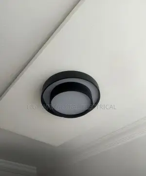 Nordic Led Ceiling Lamp