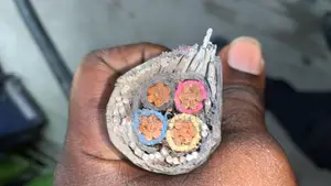 4core X 35mm Armored Cable Coleman