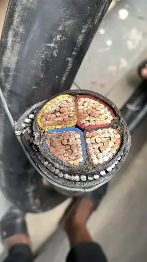 4core X 120mm Armored Cable Coleman