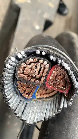 4core X 150mm Armored Cable Coleman