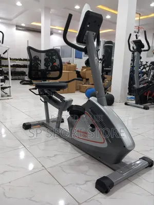 Big Recumbent Bike