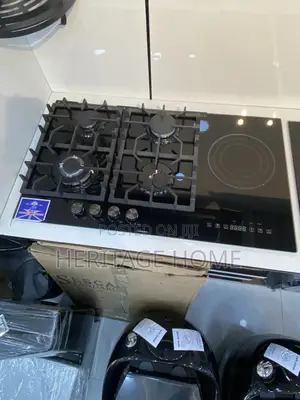 Gas And Electric Burner