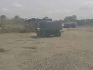 Iron Stone Mining