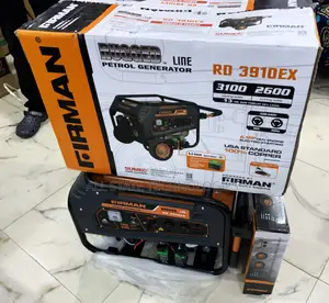 Firman Rd3910ex Rugged Power Machine Best for Homes