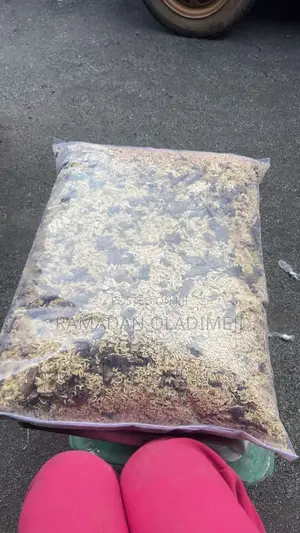 Mixed Dog Food/Indomie Waste