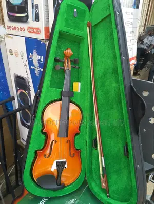 All Sizes Of Acoustic Violins Available.