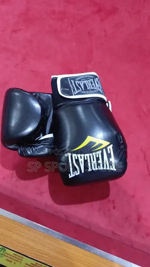 Everlast Boxing Gloves