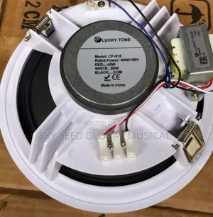 Original 80watts Lucky Tone Ceilings Speaker